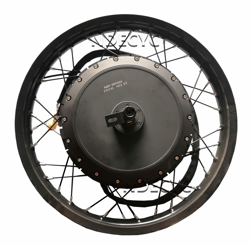 미국 주식 NBpower/QS V3 273 40H 오토 - Qs Motor 273 8000W Hub Motor 리뷰 및 가격